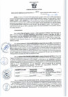 Vista preliminar de documento RGSR 402-2024