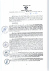 Vista preliminar de documento RGSR 406-2024