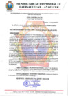 Vista preliminar de documento RESOLUCION  ALCALDIA  N° 536-2024.MPPC/AYAC. 