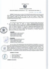 Vista preliminar de documento RGSR 411-2024