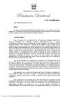 Vista preliminar de documento RD 229