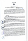 Vista preliminar de documento RGSR 425-2024