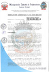 Vista preliminar de documento RESOLUCION GERENCIAL N°212-2024-MDI-GM