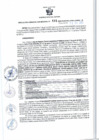 Vista preliminar de documento RGSR 431-2024