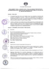 Vista preliminar de documento Reglamento CPIP