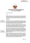 Vista preliminar de documento RGG-260-2024-SUNAFIL y anexo