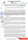 Vista preliminar de documento RESOLUCIÓN DE GERENCIA N°215