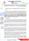 Vista preliminar de documento RESOLUCIÓN DE GERENCIA N°216