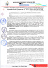 Vista preliminar de documento RESOLUCIÓN DE GERENCIA N°217