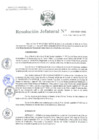 Vista preliminar de documento Resolución Jefatural Nº 262-2024-INEI
