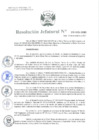 Vista preliminar de documento Resolución Jefatural Nº 270-2024-INEI