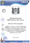 Vista preliminar de documento DIRECTIVA N° 002-2024-GM-MPC