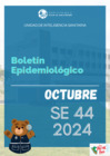 Vista preliminar de documento 10. Boletin epidemiológico octubre 2024