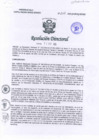 Vista preliminar de documento RD2024-252