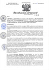 Vista preliminar de documento R.D N° 313-2024-HMA-DG