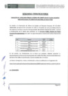 Vista preliminar de documento Convocatoria