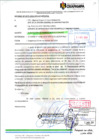 Vista preliminar de documento img20241121_15573624