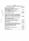 Vista preliminar de documento Anexos