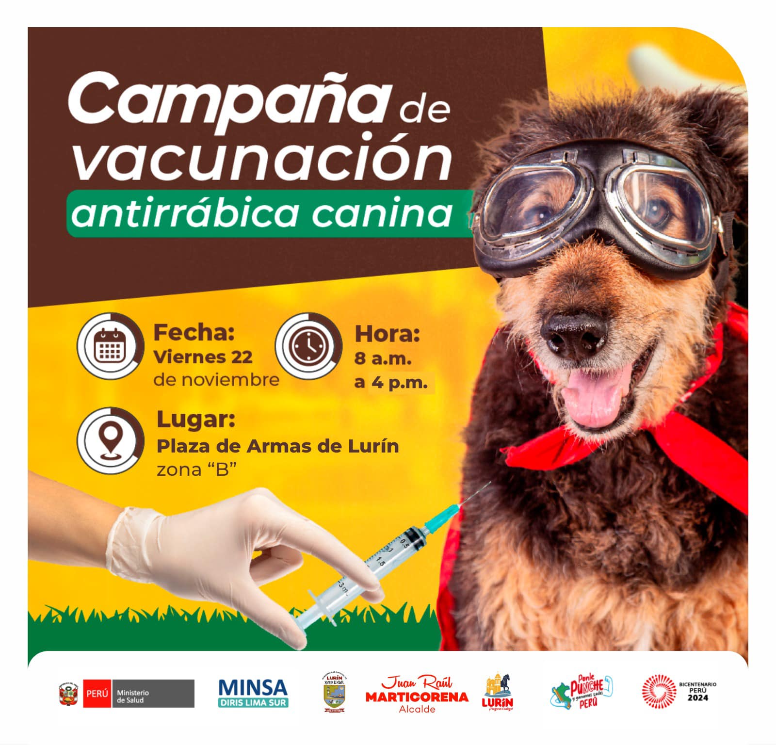 Archivo de JPG sobre una publicación del área de imagen