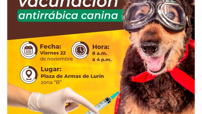 Archivo de JPG sobre una publicación del área de imagen