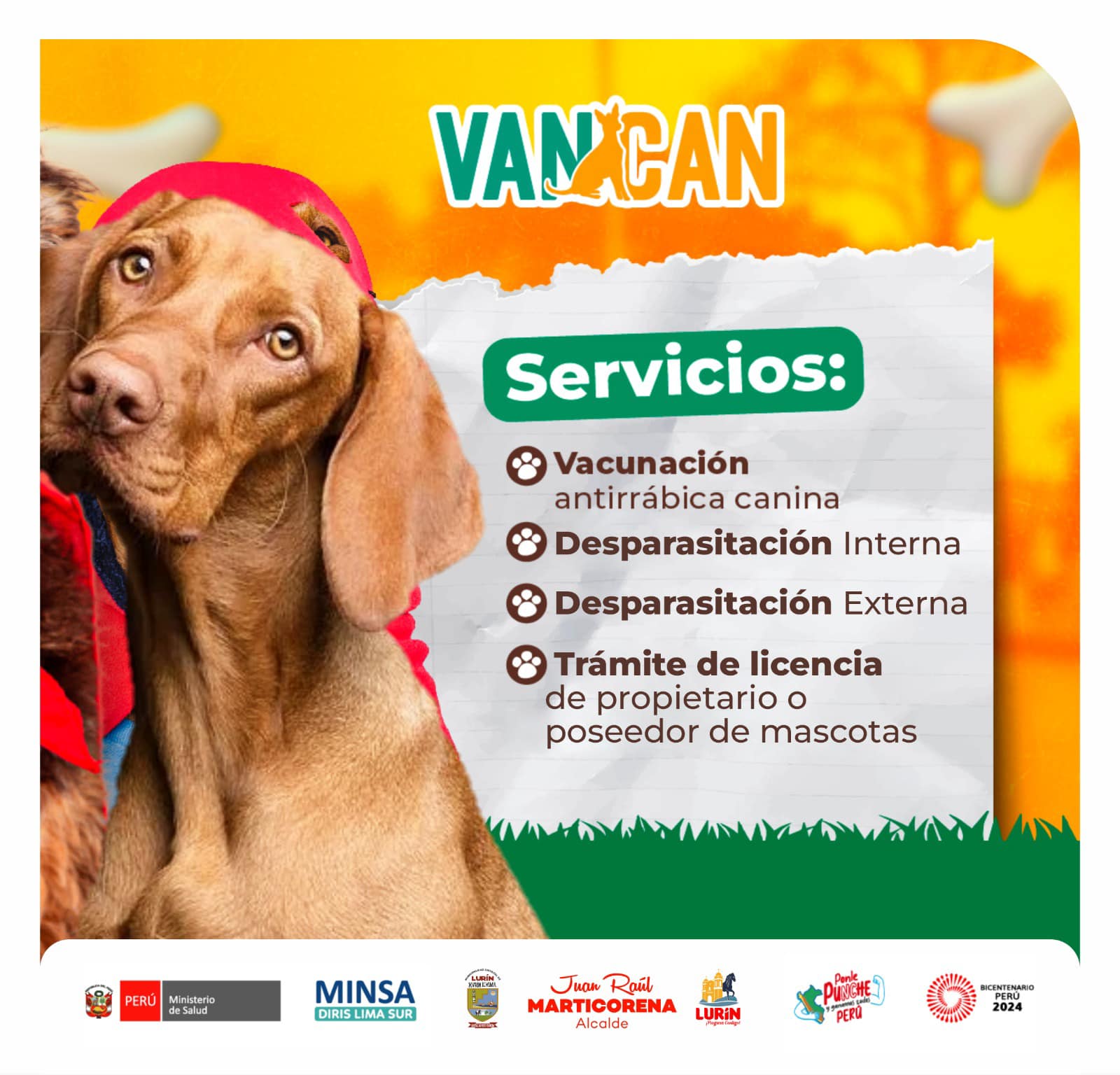 Archivo de JPG sobre una publicación del área de imagen