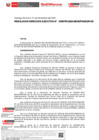 Vista preliminar de documento RDE 705-2024