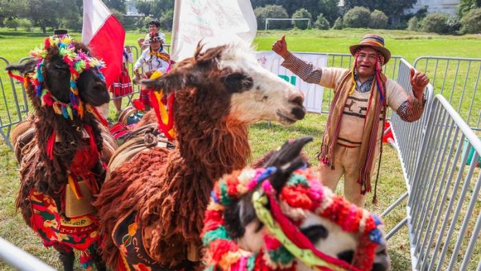 Gobierno reconoce a productores de ocho regiones en el Día Nacional de la llama