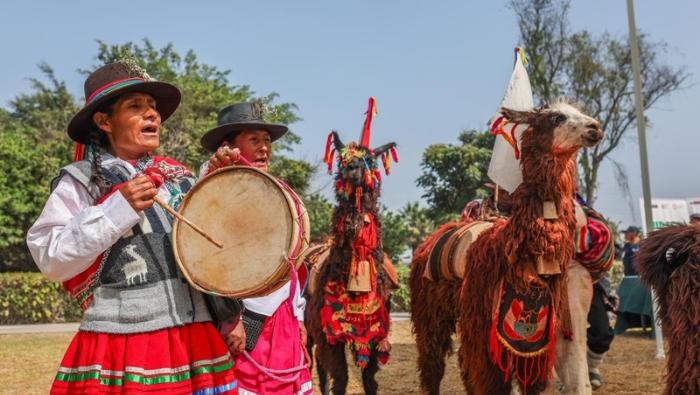 Gobierno reconoce a productores de ocho regiones en el Día Nacional de la llama