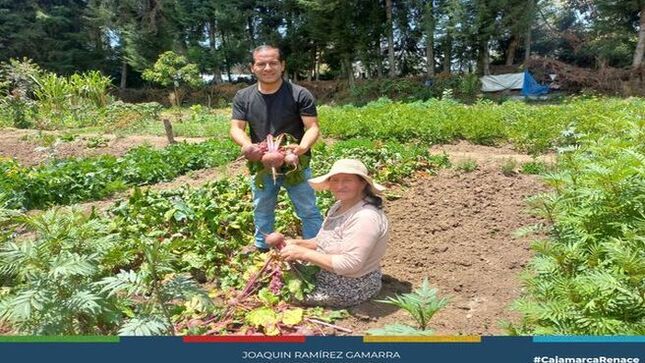 👵👴La Municipalidad Provincial de Cajamarca, a través del Centro Integral de Atención al Ciudadano Mayor (CIAM), llevó a cabo una exitosa Cosecha del Vivero de Venecia. 🌿
🥦🍅 En esta reunión mensual, nuestros queridos adultos mayores se unieron para disfrutar de un día lleno de actividades y cosechar hortalizas frescas del vivero. 
🤝❤️¡Un momento perfecto para compartir, aprender y celebrar la labor en equipo! 🤝❤️
🎉👏 ¡Gracias a todos los participantes por hacer de este evento un éxito! 🎉👏 
💛¡Con Joaquin Ramírez, Cajamarca renace! 