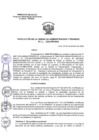 Vista preliminar de documento RUAF 156-2024-PRONIS