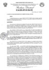Vista preliminar de documento RESOLUCION DIRECTORAL N° 041-2024