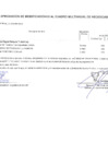 Vista preliminar de documento Modificaciones al Cuadro Multianual de Necesidades Nº 00000153-2024-MDSA