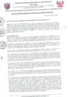 Vista preliminar de documento RGM_MPR_2024_030