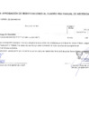 Vista preliminar de documento Modificaciones al Cuadro Multianual de Necesidades Nº 00000145-2024-MDSA