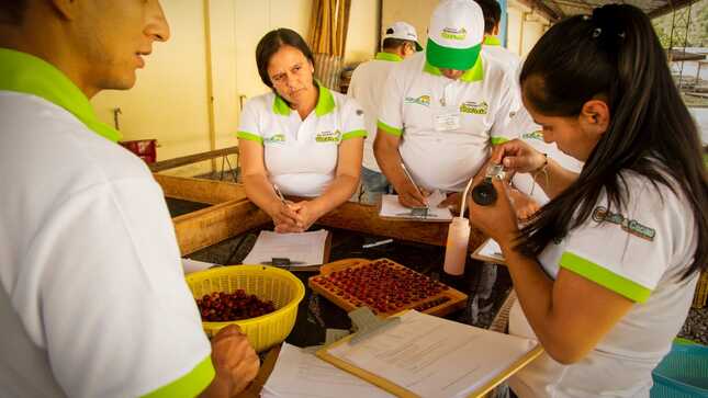 AGRO RURAL