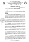 Vista preliminar de documento RESOLUCION DIRECTORAL N° 049-2024