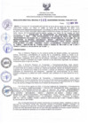 Vista preliminar de documento RDR N° 585-2024-12-11-2024