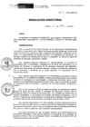 Vista preliminar de documento RD.N.091-2021-INSN-DG