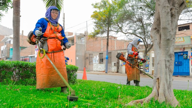 Realizamos trabajos de poda ✂️ y ornamentación 🌻 en las áreas verdes 🌳🌲 para garantizar espacios limpios 🧹 y seguros para la comunidad🏡.
