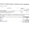 Vista preliminar de documento Anexo N° 06 Aprobación de Modificaciones al Cuadro Multianual de Necesidades N° 050 - PEBLT 2024