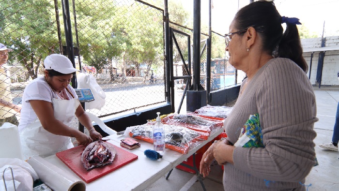 Feria agroecológica