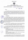 Vista preliminar de documento RDR N° 595-2024-14-11-2024
