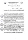 Vista preliminar de documento RDR-1595-2024