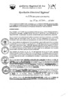 Vista preliminar de documento RDR-1596-2024