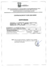 Vista preliminar de documento CONTRATACION Nº 100-2024-SBPM