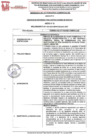 Vista preliminar de documento REQUERIMIENTO Nº 079-2024-SBPM-GG-GAC-GGF