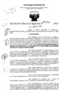 Vista preliminar de documento RDR 1749-2023