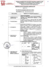 Vista preliminar de documento REQUERIMIENTO Nº 081-2024-SBPM-GG-GAC-GGF