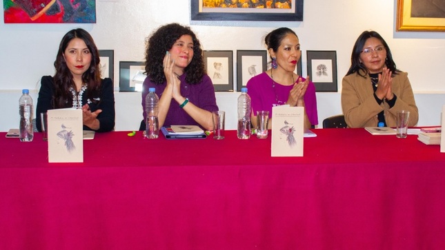 Éxito en las presentaciones literarias de la FIL Puno: Obras infantiles, cómics, ensayos y voces femeninas enriquecen la feria
