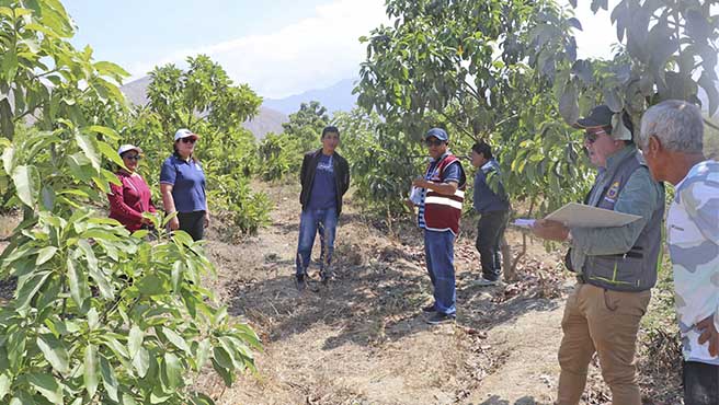Municipalidad visitaron in situ a los establecimientos, o espacios donde los Agentes Económicos Organizados – AEO